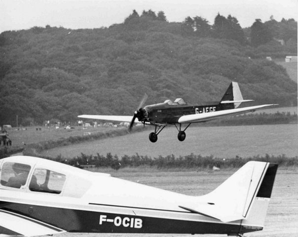 g-afge ba swallow 0033-0021